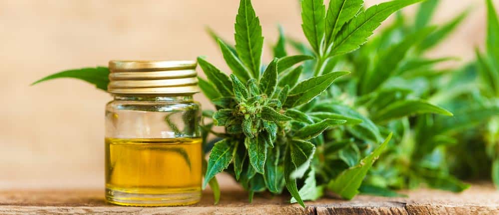 Consommer du CBD : Tout savoir !